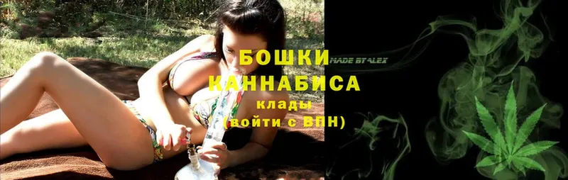 цена наркотик  Боготол  Каннабис SATIVA & INDICA 